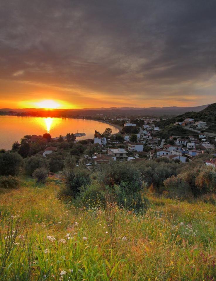 Kochili Apartments Neos Pirgos Bagian luar foto